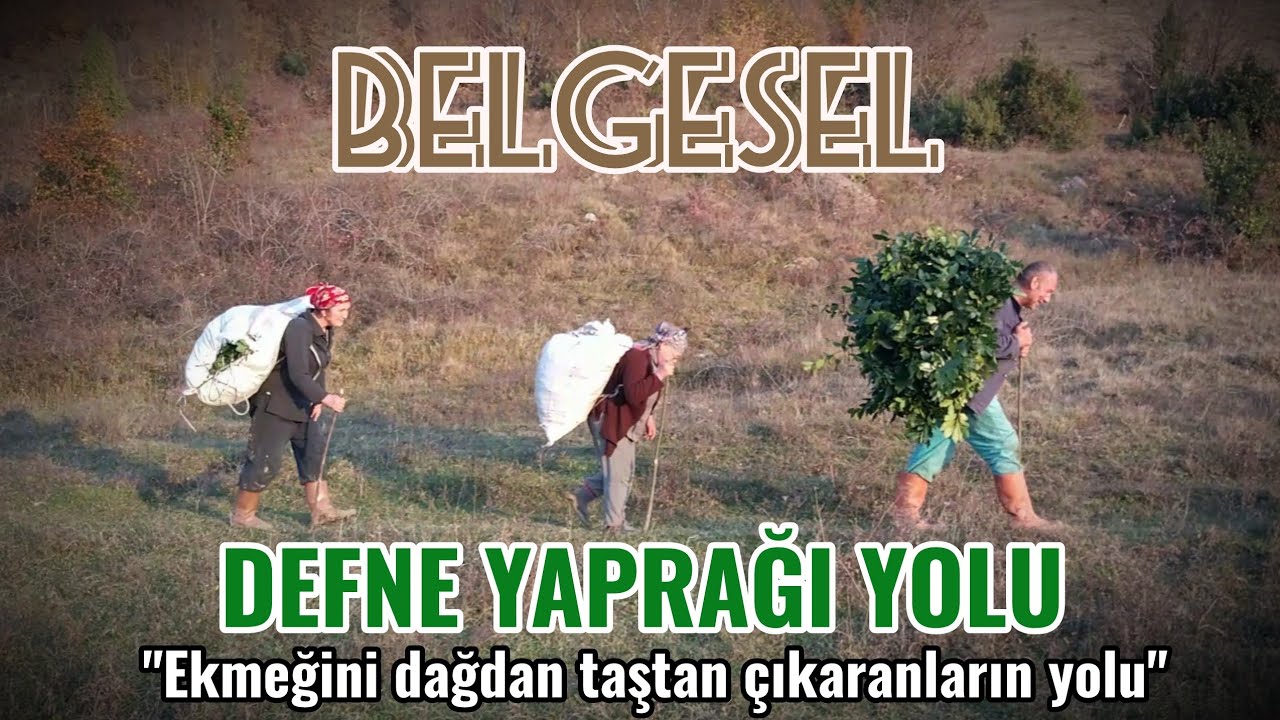 DEFNE YAPRAĞI YOLU - Kısa belgesel