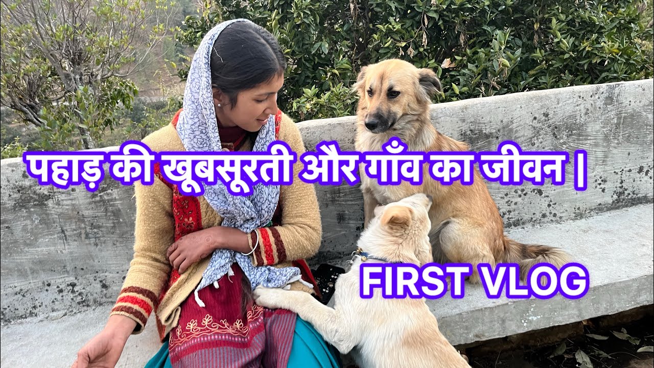 पहाड़ की खूबसूरती और गाँव का जीवन | First Vlog 