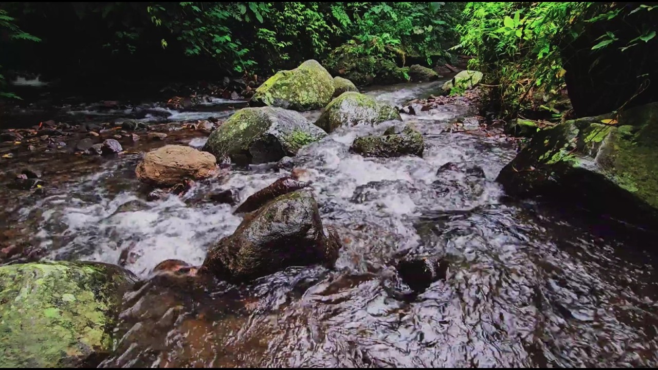 Deep Sleep River Sounds 🌙 Soothing Water Stream White Noise for Relaxation, Study and Calm Mind 🌿