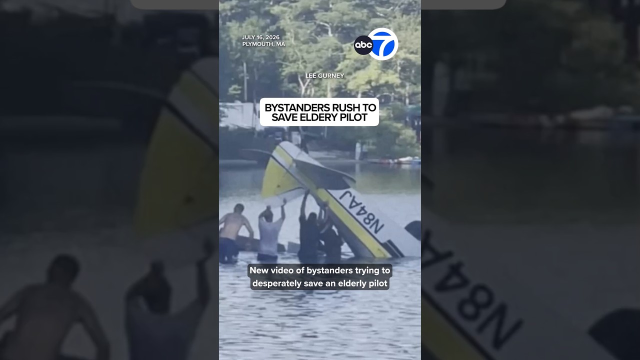 Bystanders rush to save pilot after plane crash