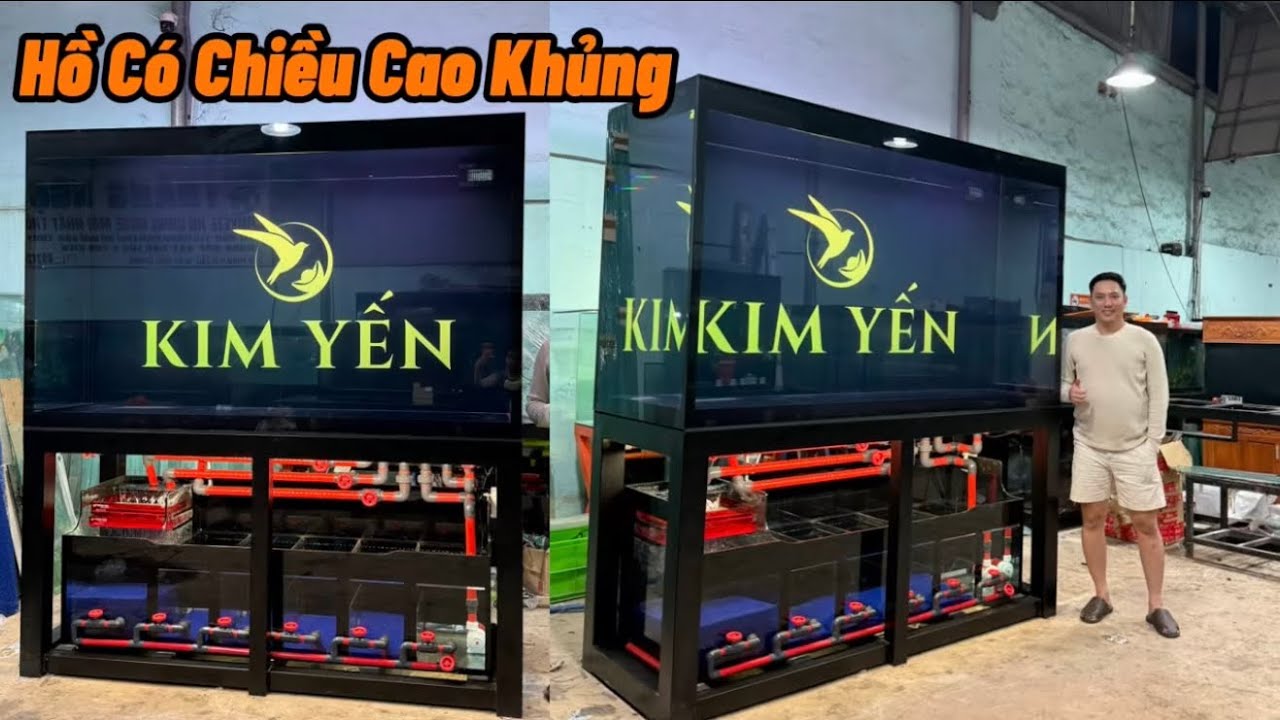 Bộ Hồ Có Chiều Cao Khủng Mở Đầu Cho 2026 