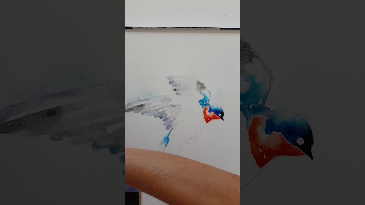 Elle Smith Art Speedy Watercolour Painting of a Swallow bird!