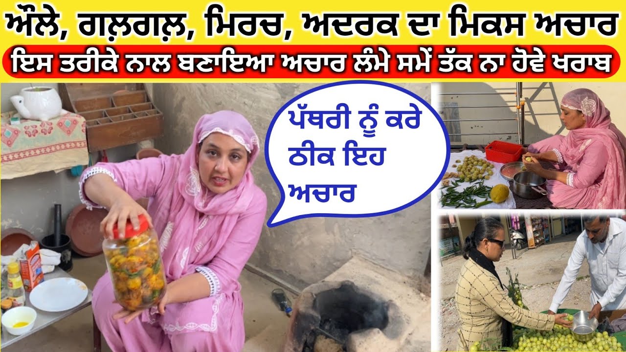खाने का मज़ा दुगना करने के लिए बनाए जे अचार ! ਔਲੇ, ਗਲ਼ਗਲ਼, ਮਿਰਚ, ਅਦਰਕ  ਮਿਕਸ ਅਚਾਰ ! Amla Galgal Achar