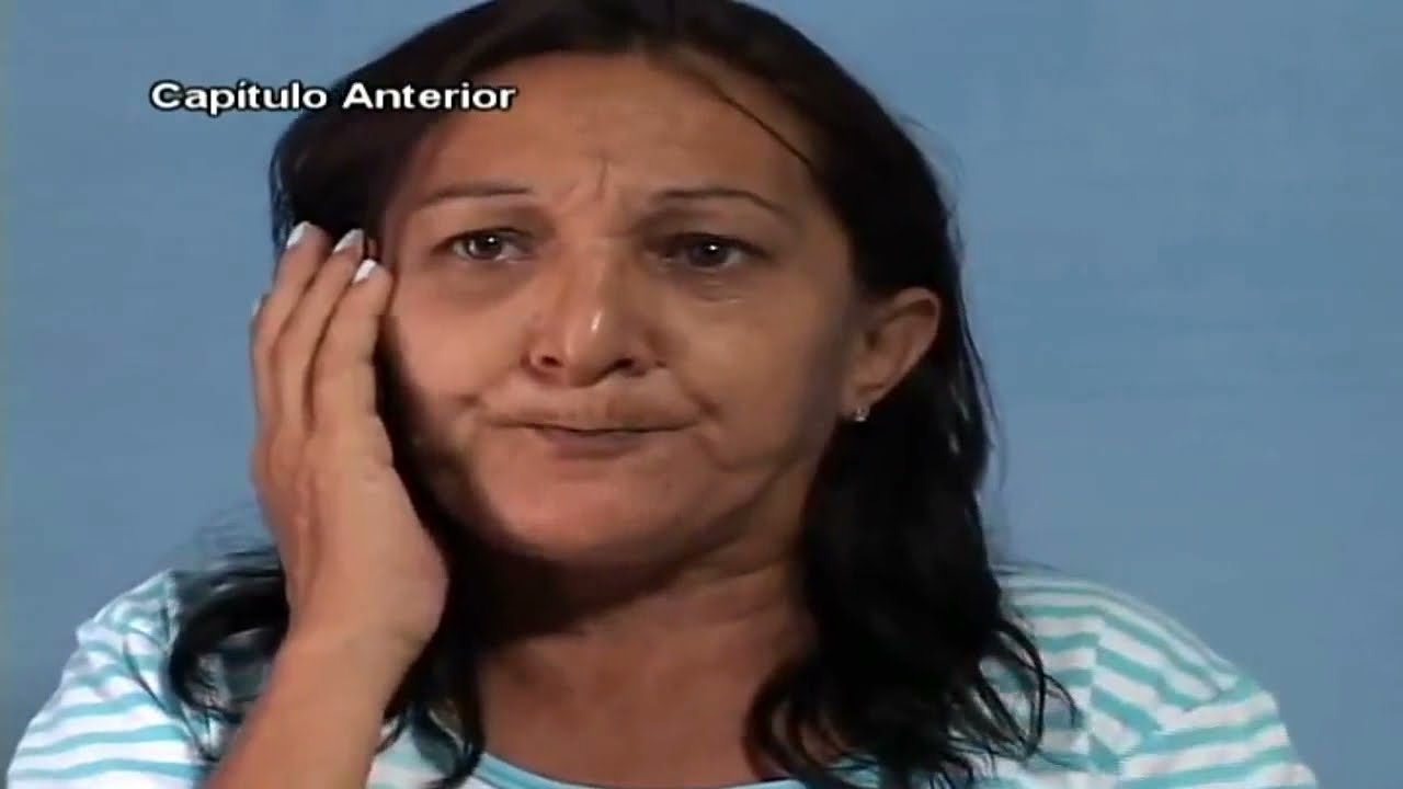 NOVELA - FOI SEM QUERER (COMPLETA)