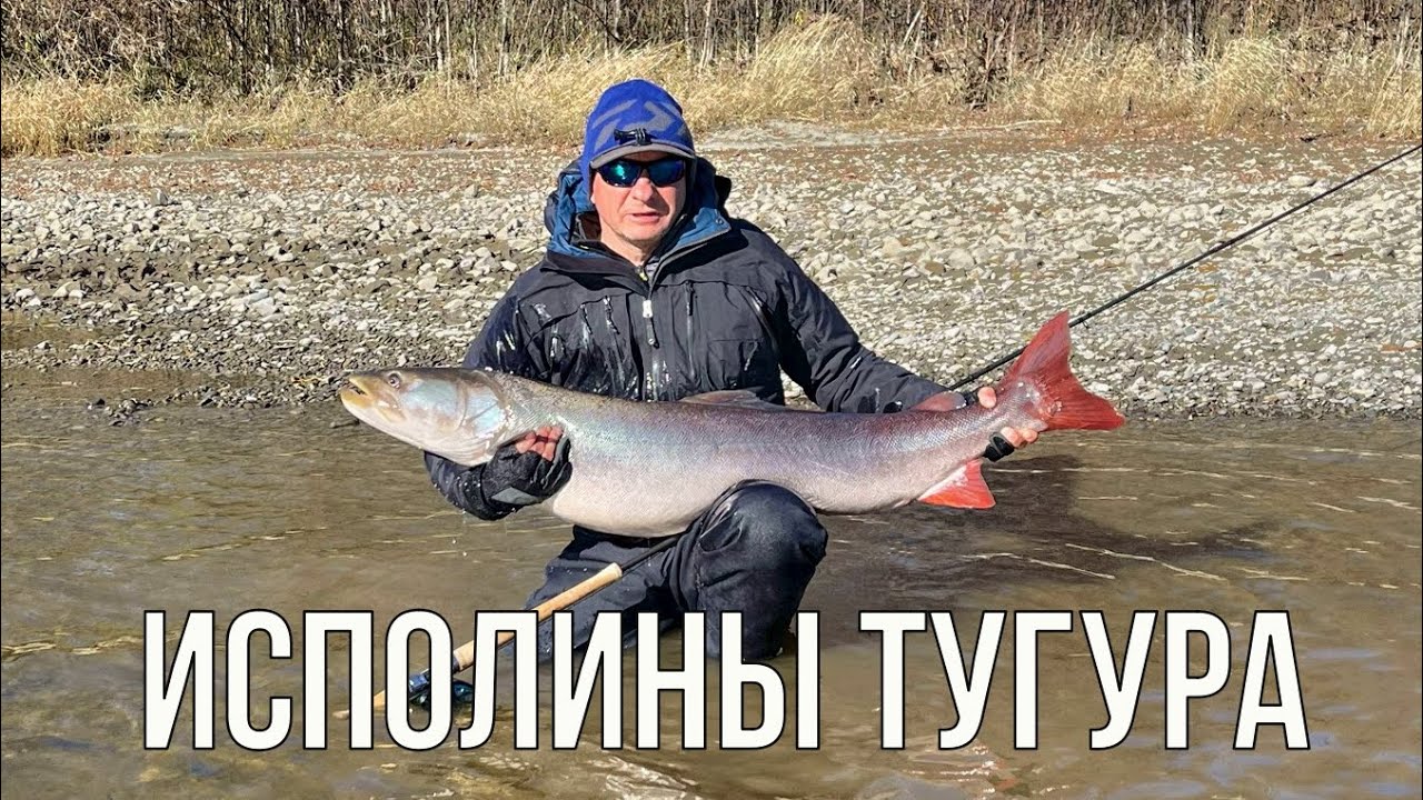 Исполины Тугура (таймень, рыбалка)
