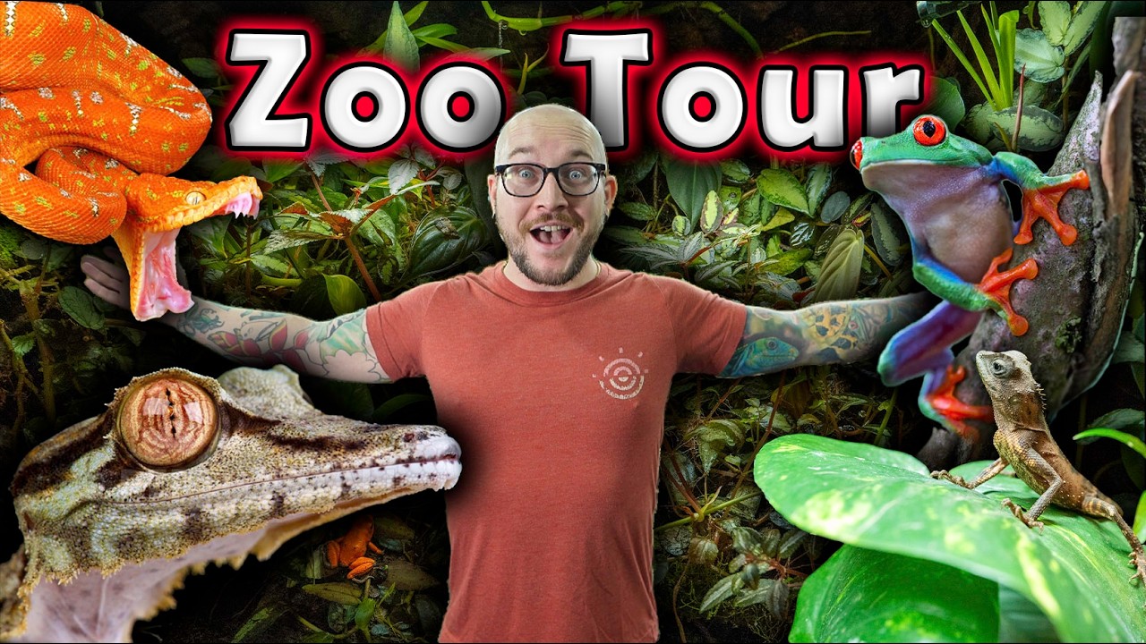 Reptile House Tour Ends in Tragedy