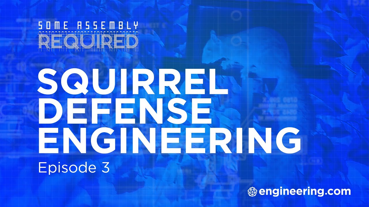 Squirrel Defense Engineering