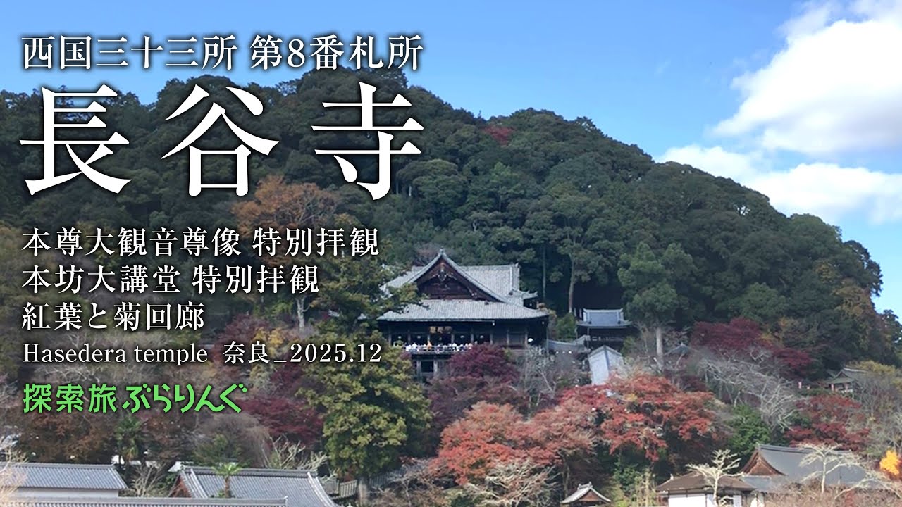 西国三十三所第8番札所  長谷寺　秋季特別拝観　__奈良_2025.12