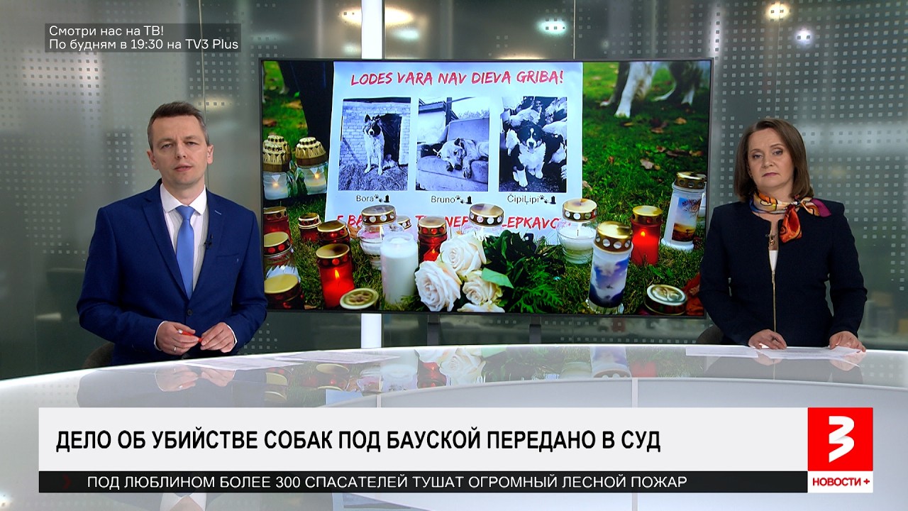 Убийство собак. Горящий поезд. Тупые чиновники. &laquo;Новости+&raquo;, 6 мая 2026 г.