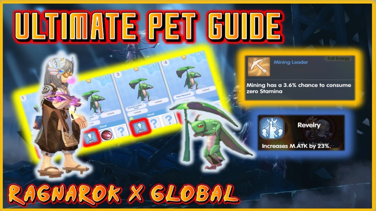 ROX Global Pet Guide | What's the Best Pet for Priest?