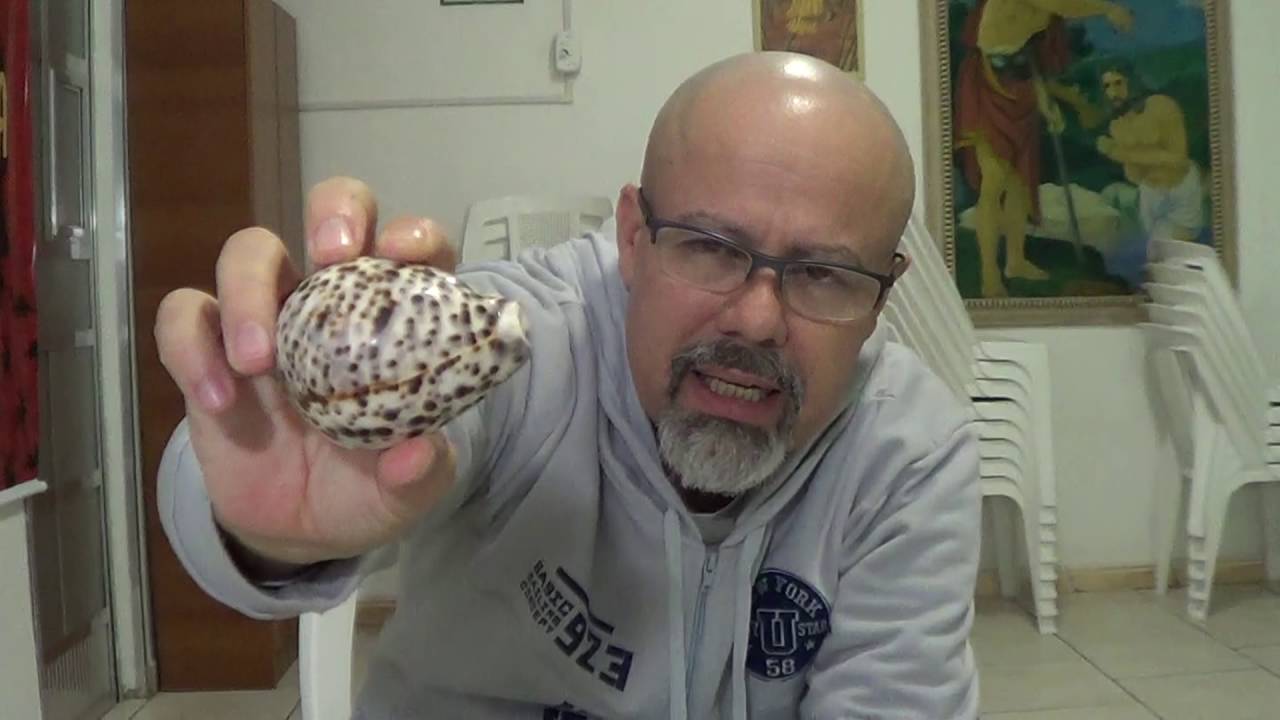 UMBANDA: o simbolismo dos búzios.