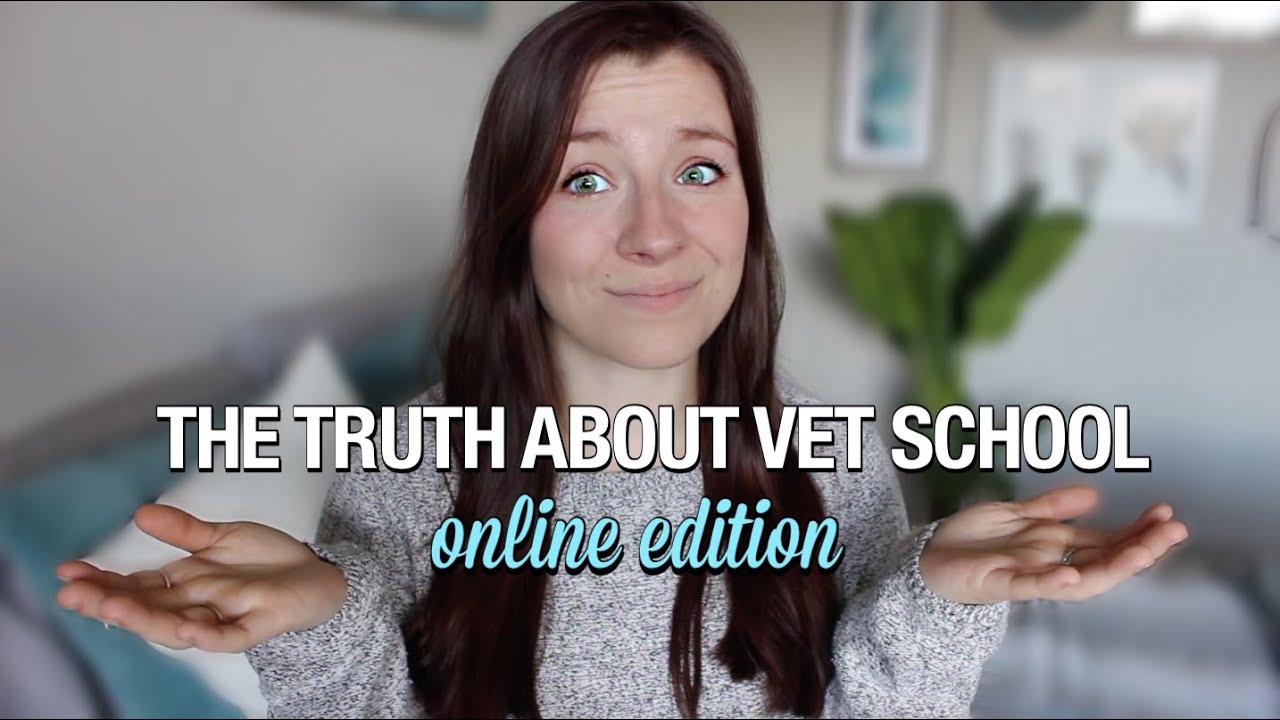 THE TRUTH ABOUT ONLINE VET SCHOOL: the pros and cons of learning online!