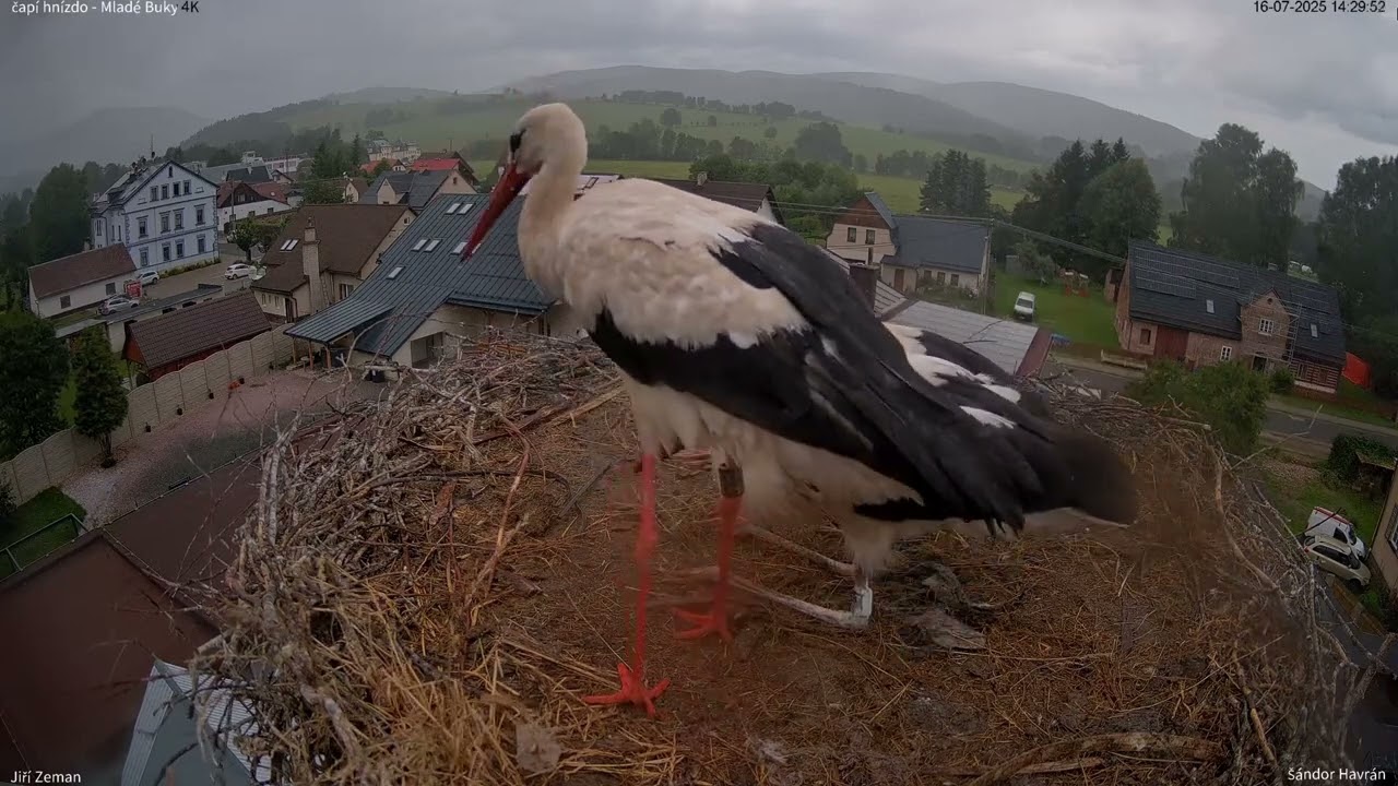 Měsíc červenec se půlí a my se učíme létat.    Mladé Buky 2025