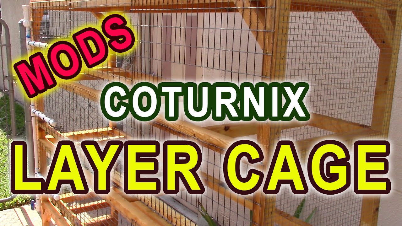 COTURNIX QUAIL LAYER CAGE MODS - Fixing some issues