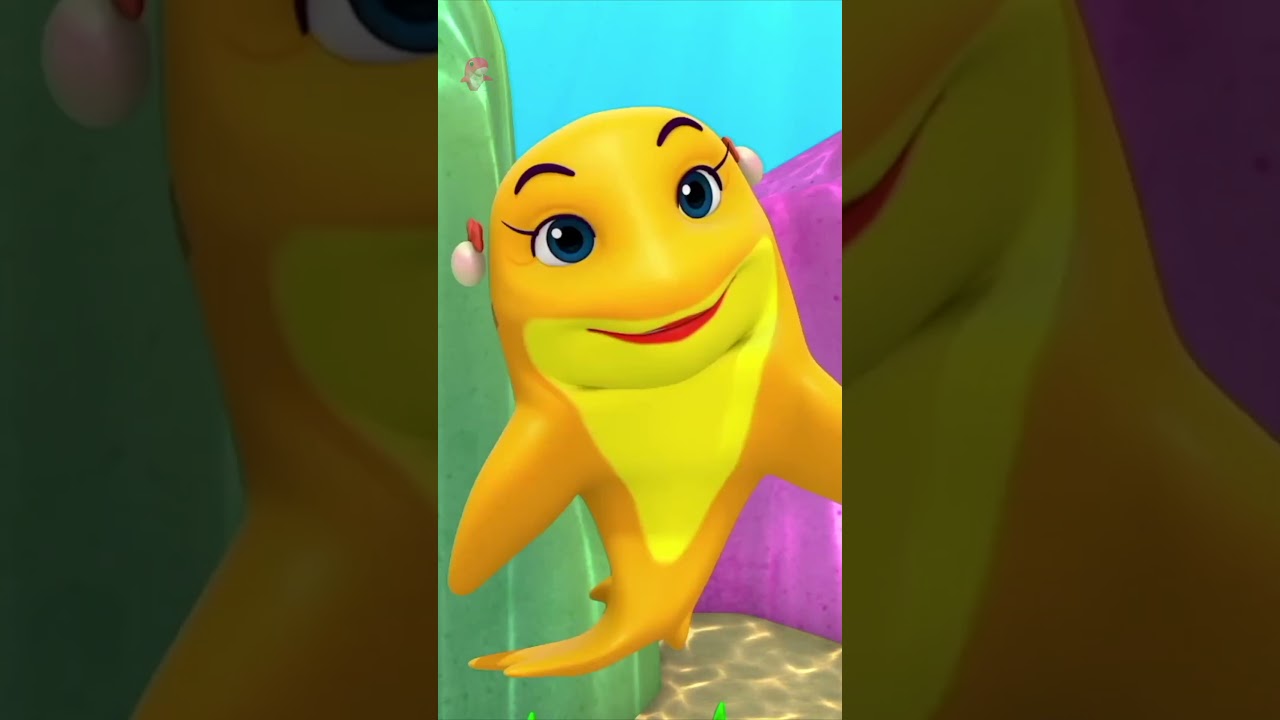 Tiburón Bebé Canción Divertida para Niños 