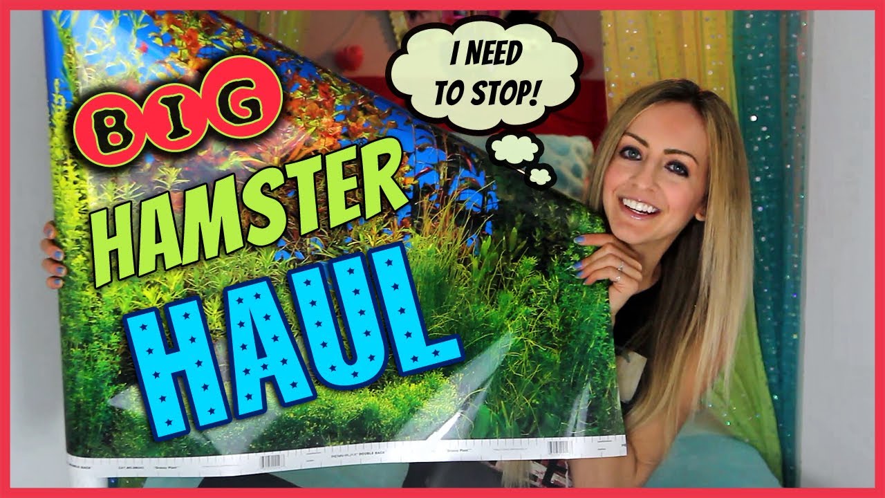 My Last Hamster Haul Forever! 😂 (J/K)