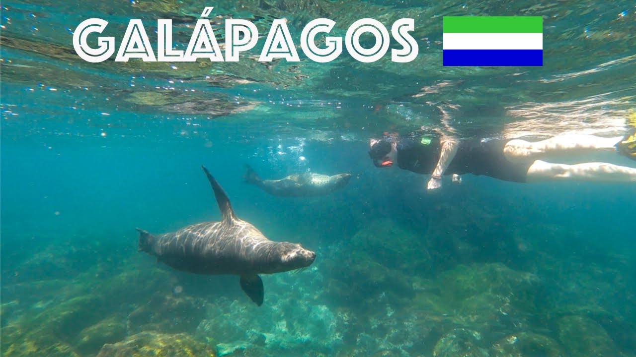 🦭Islas Galápagos 2022 _ Ecuador Part II _ the full Zoo experience 🦭