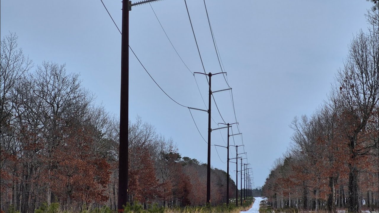 Wells Mills Winter Wires (1 hour looping)