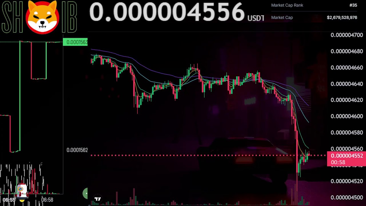 $SHIB Live Stream 24/7 | SHIBA INU COIN | SHIB USDT | RSI Divergence Trading Signals and Chat