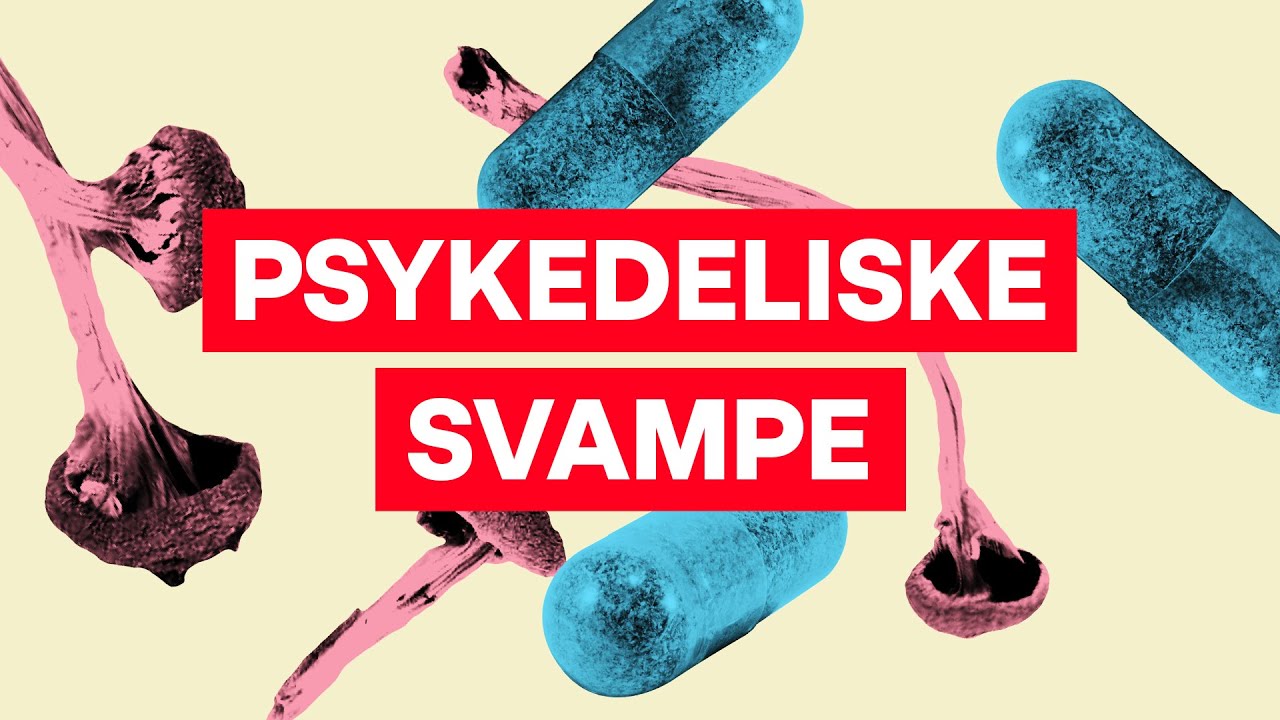 Mikrodosering: Kan en smule LSD forbedre dit liv?