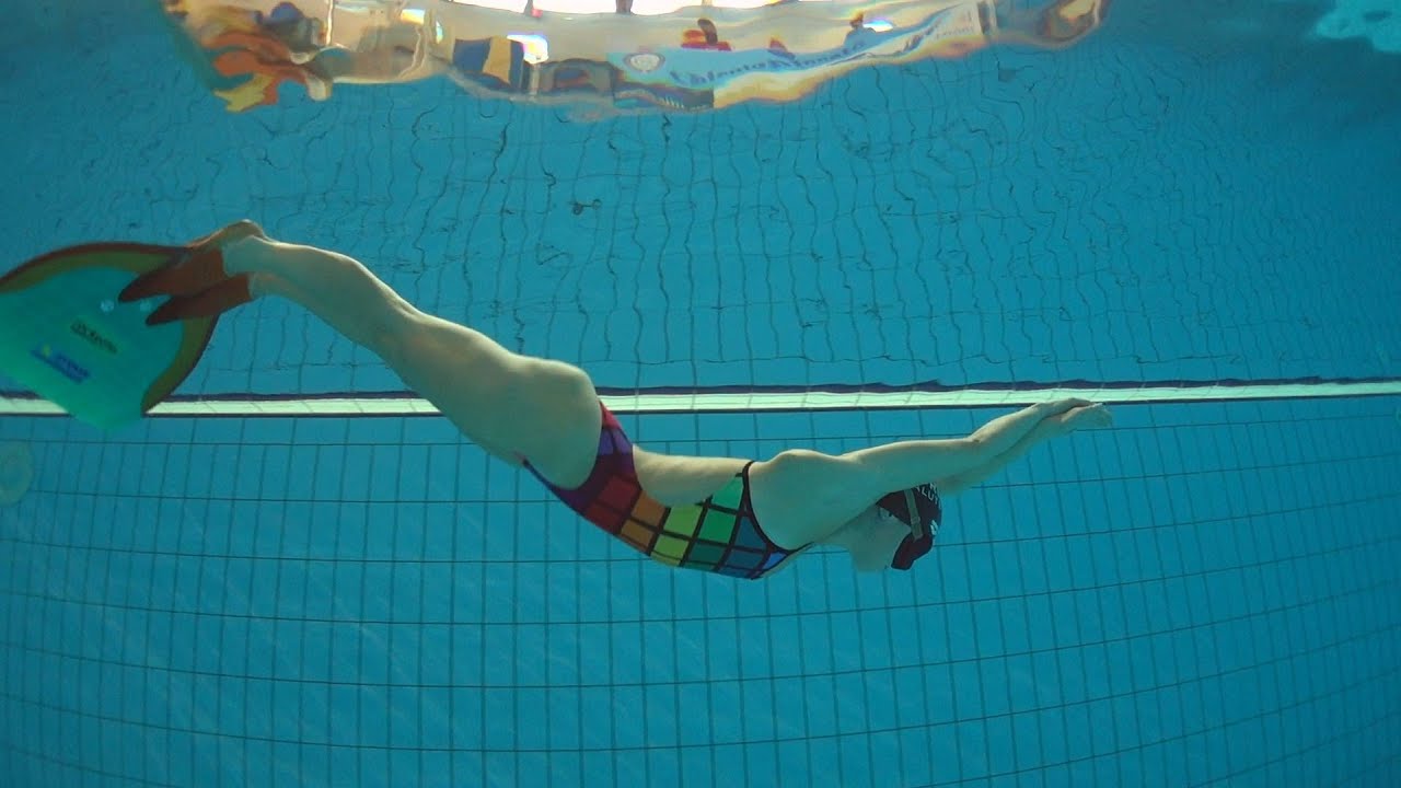 Talento Pinnato 2021