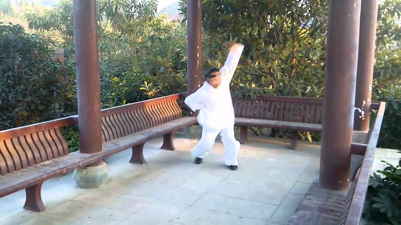 Wu Dang 3 Ba Gua Zhang 武当三大八卦掌 Master Xu Wen Han 许微含