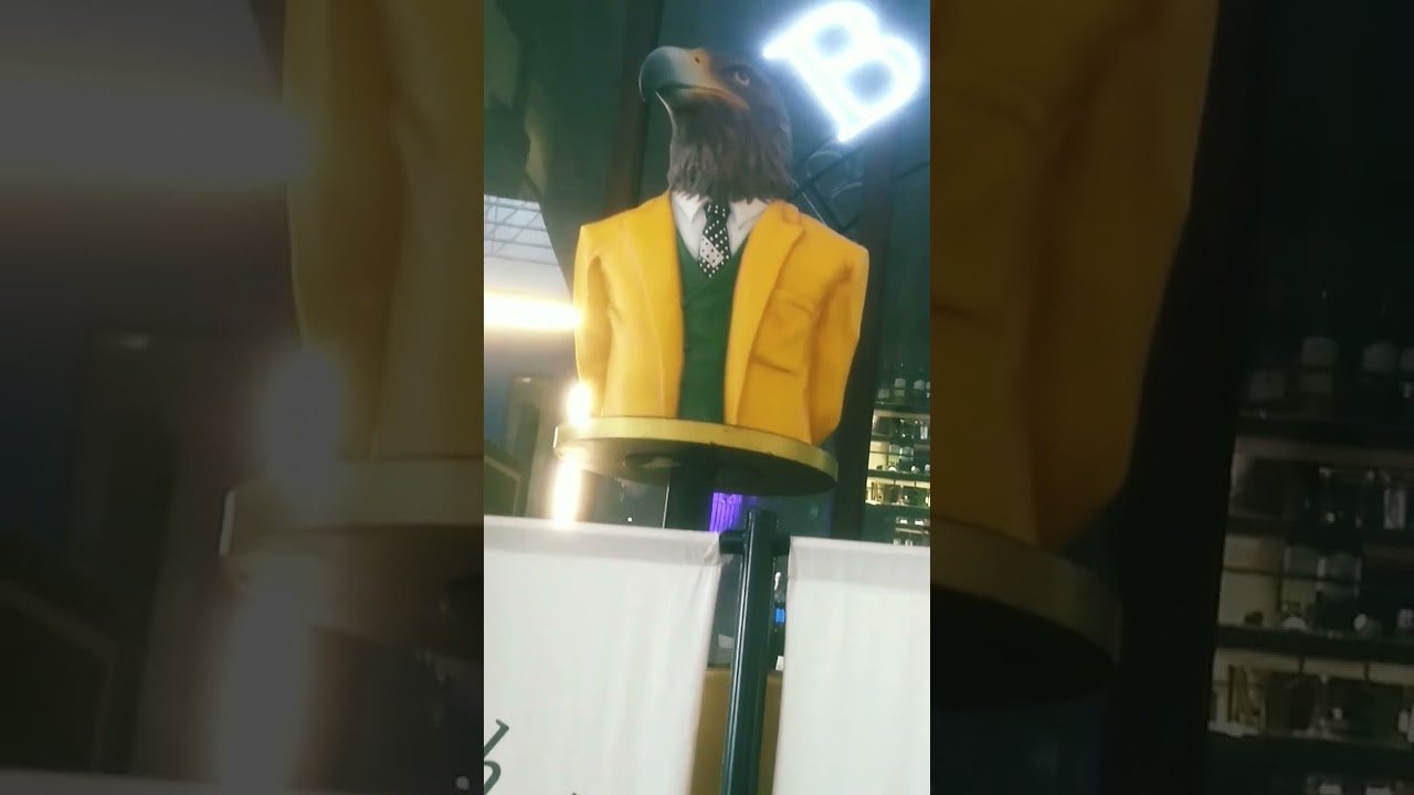 Mr eagle in coat 🧥 looks😍🤩😙😚☺️😘 