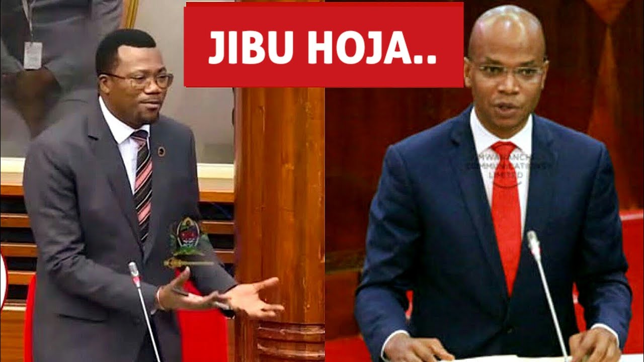 Mpina Bungeni leo amvaa Makamba Sakata la umeme 