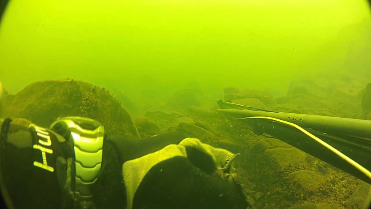 pesca Sub Piapara Curimbas