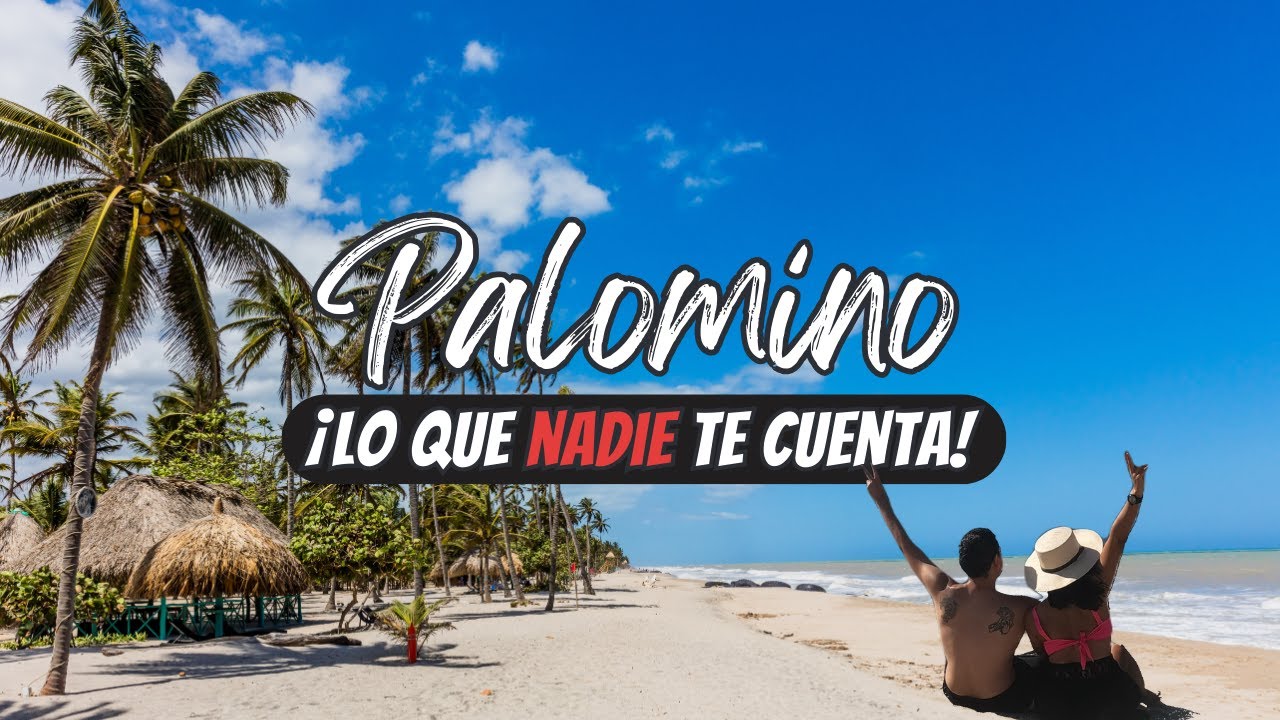 10 CONSEJOS que debes saber ANTES DE VISITAR Palomino, Colombia ​🇨🇴​