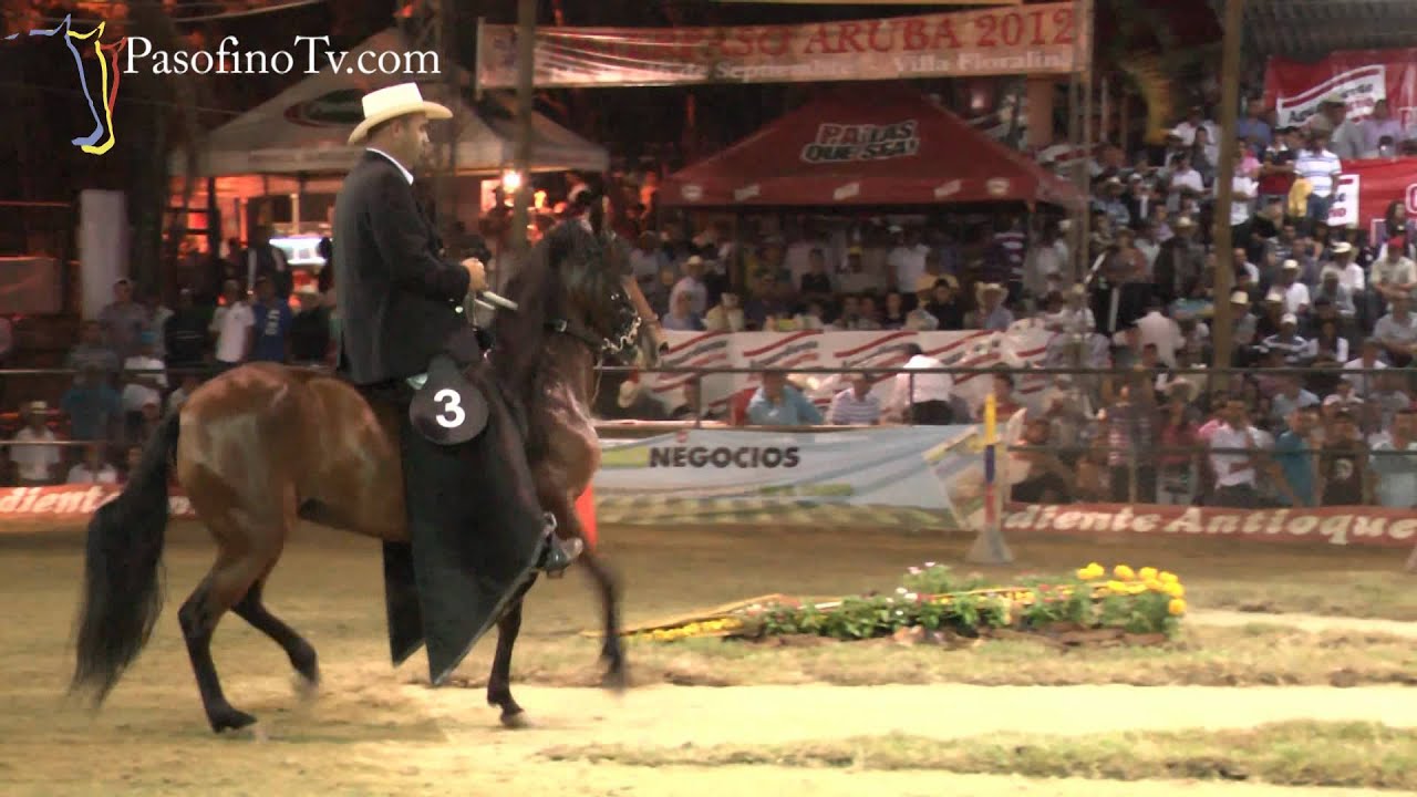 Trocha - Gran Campeona - Tripleta de Santa Isabela, Feria de Flores 2012