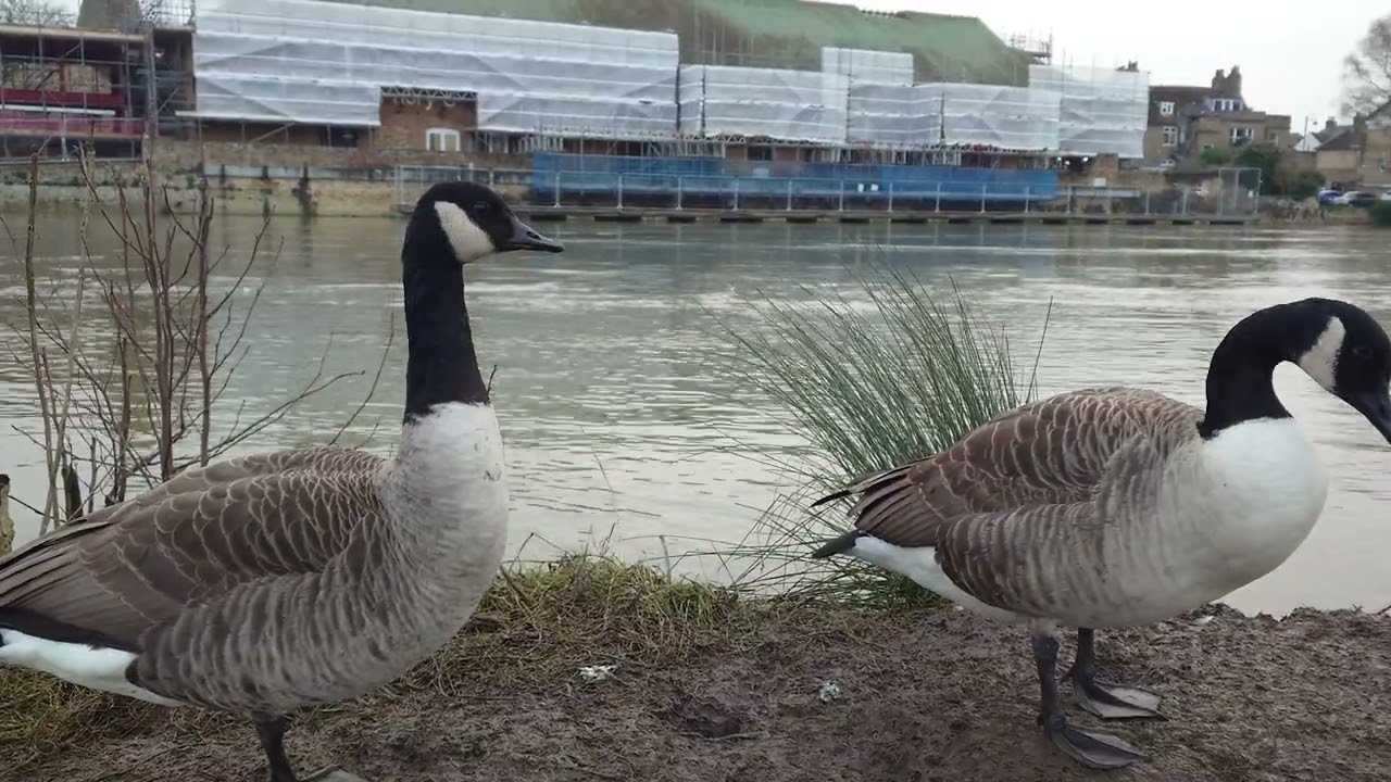 Sit With Us for a While | Five Minutes by the Water