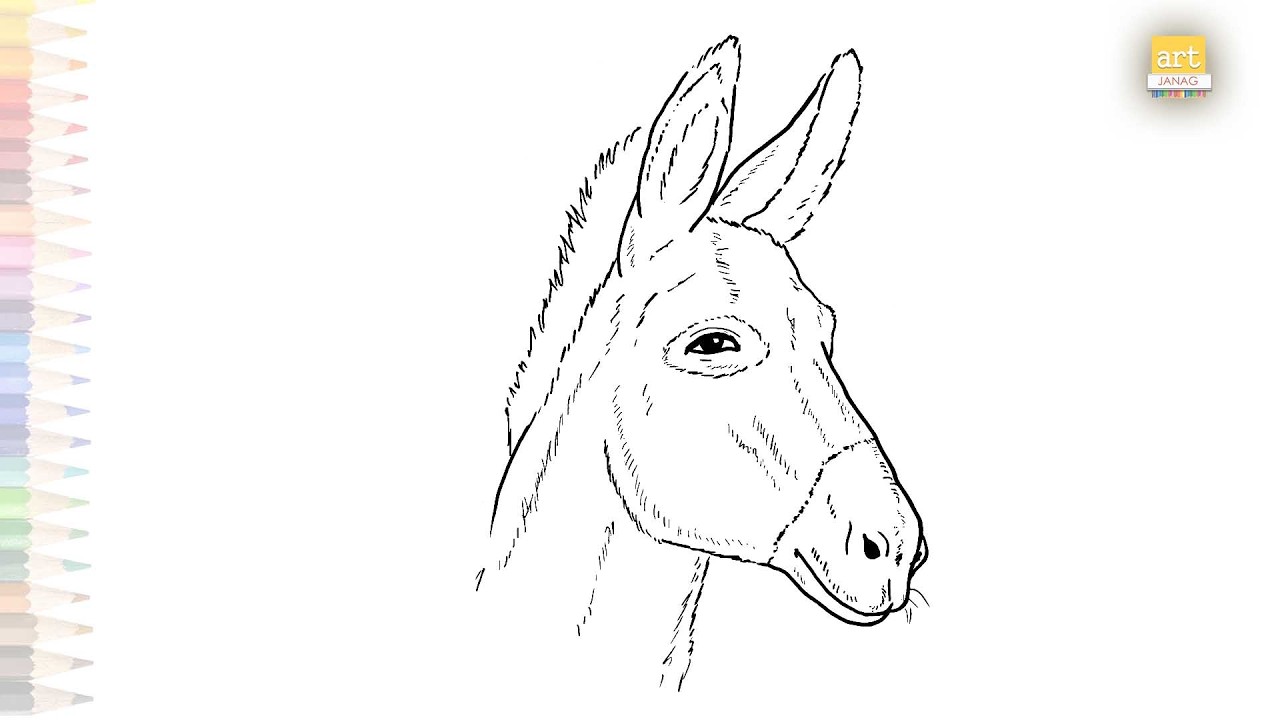 Donkey head drawings | Outline drawing sketches | How to draw A Donkey head step by step #artjanag