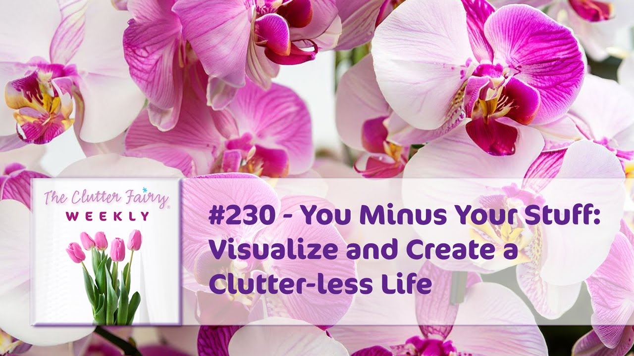 You Minus Your Stuff: Visualize and Create a Clutter-less Life - The Clutter Fairy Weekly #230