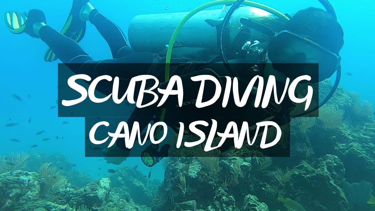 Diving, Cano Island - Drake Bay, Costa Rica