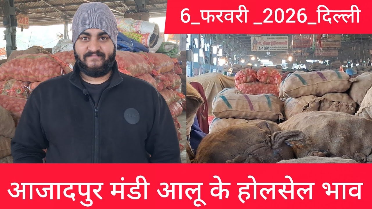 February 6, 2026 दिल्ली 🥔आलू के भाव Azadpur Delhi mandi today #PotatoMarket #delhipotatomarket 