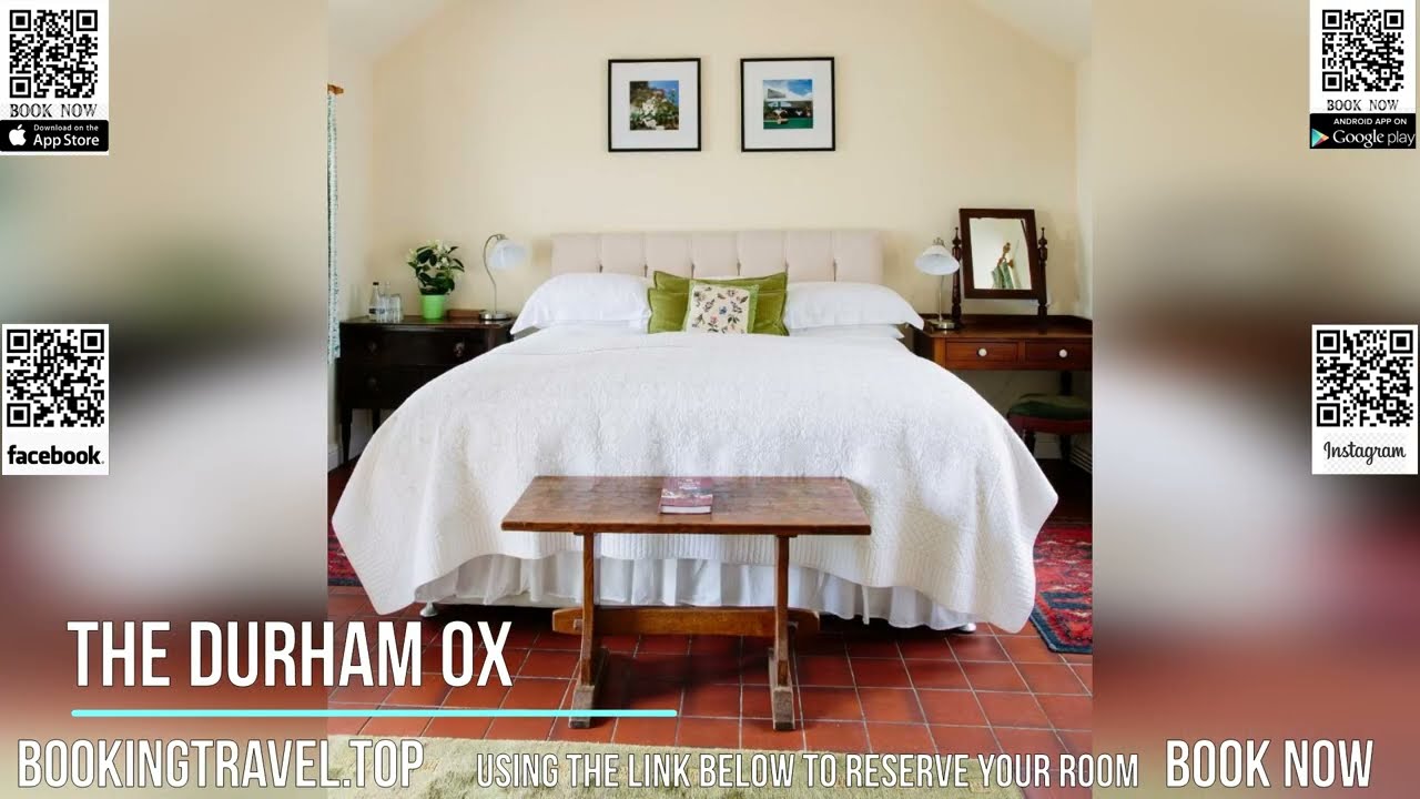 The Durham Ox