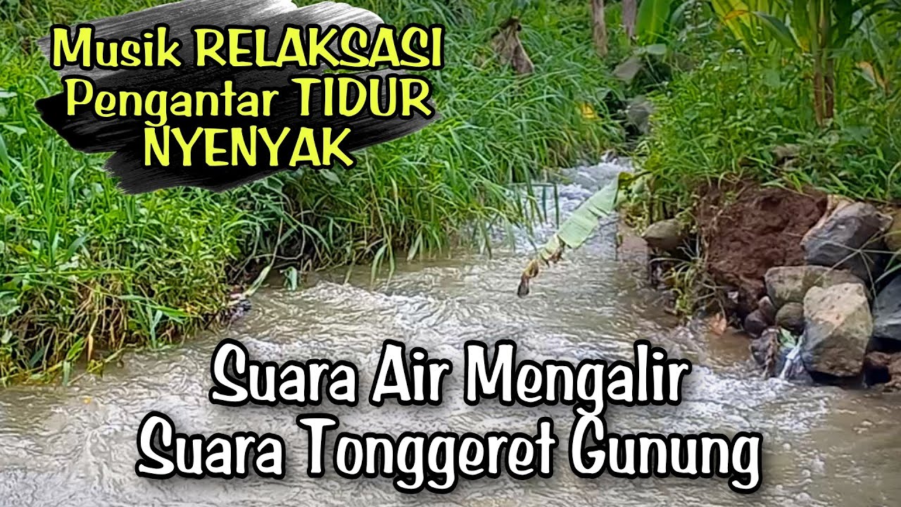 RELAKSASI SUARA ALAM: SUARA AIR dan TONGGERET GUNUNG, Pengantar Tidur Nyenyak