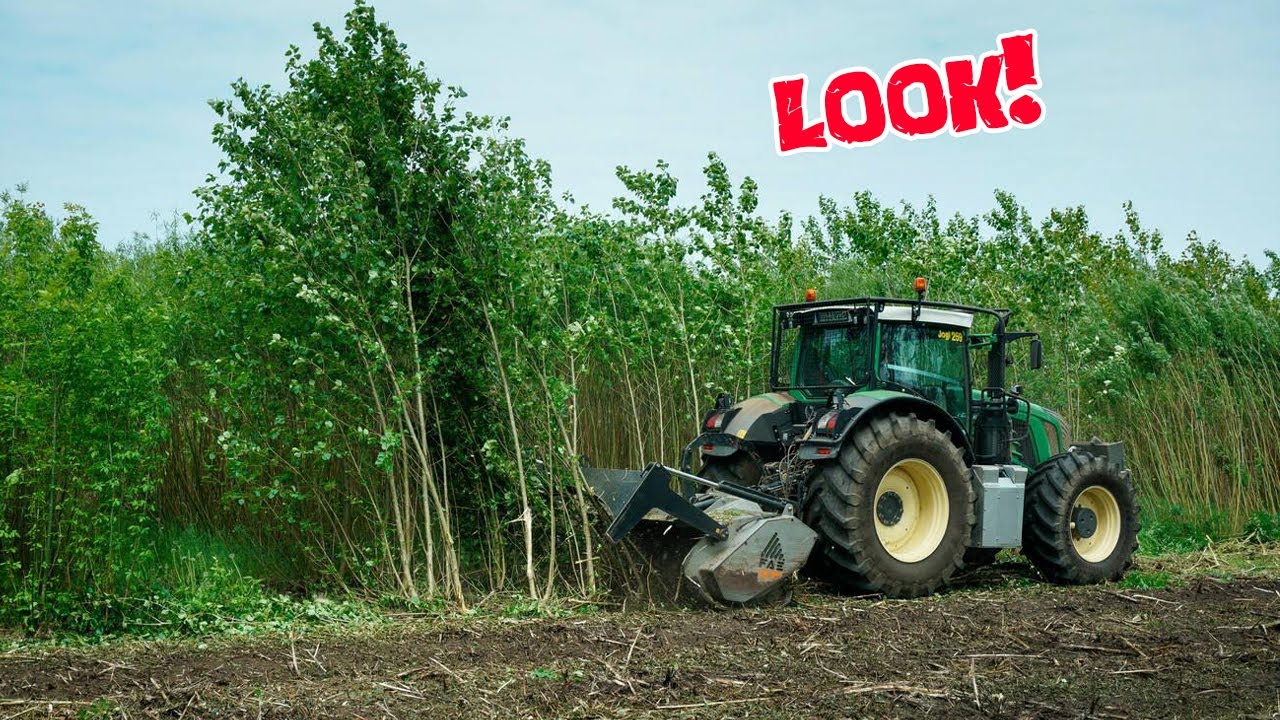 Behold The Massive Tree Shredder in Action! - Forestry Mulcher