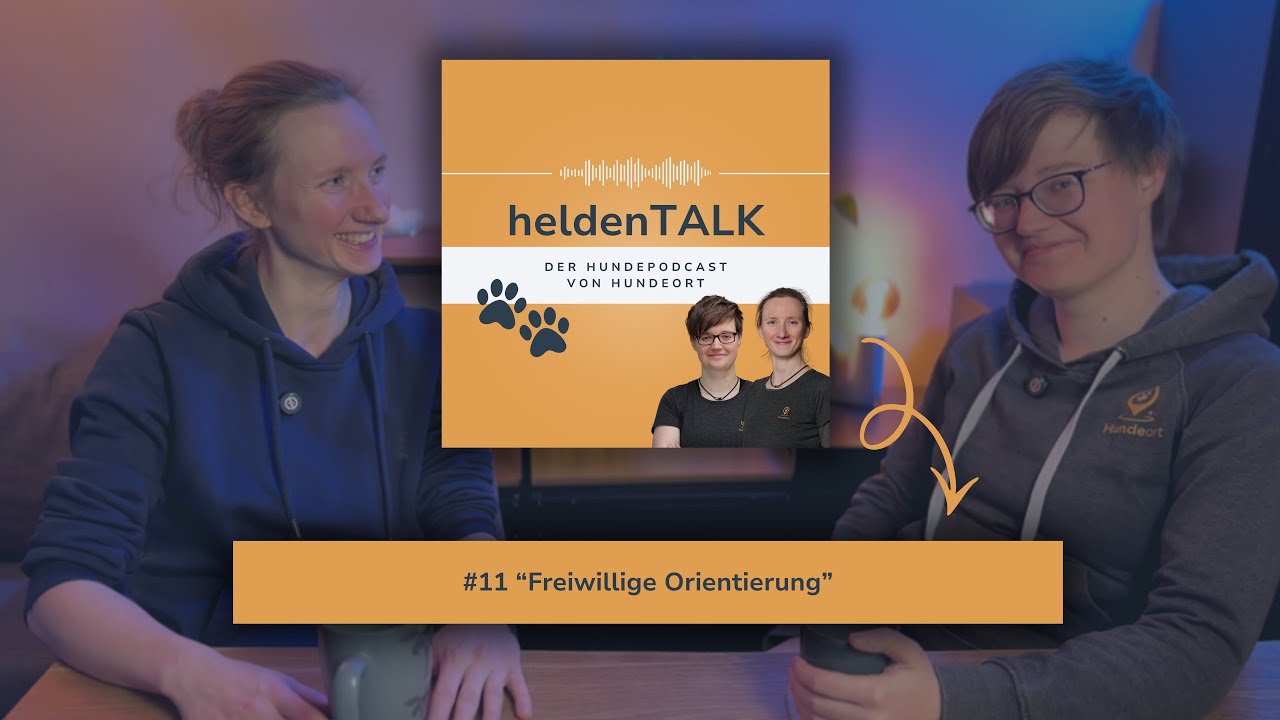 #11 „Freiwillige Orientierung“