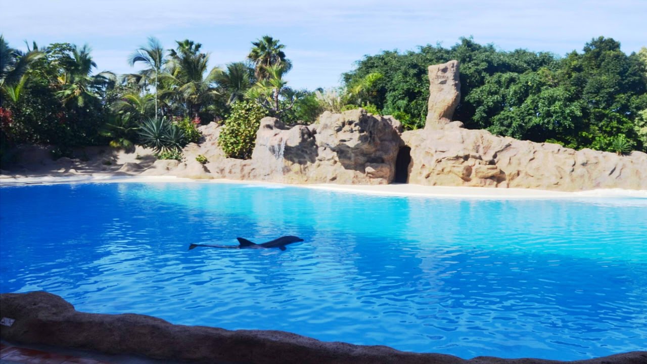 UN DÍA EN TENERIFE - Padre e hija entre animales :3