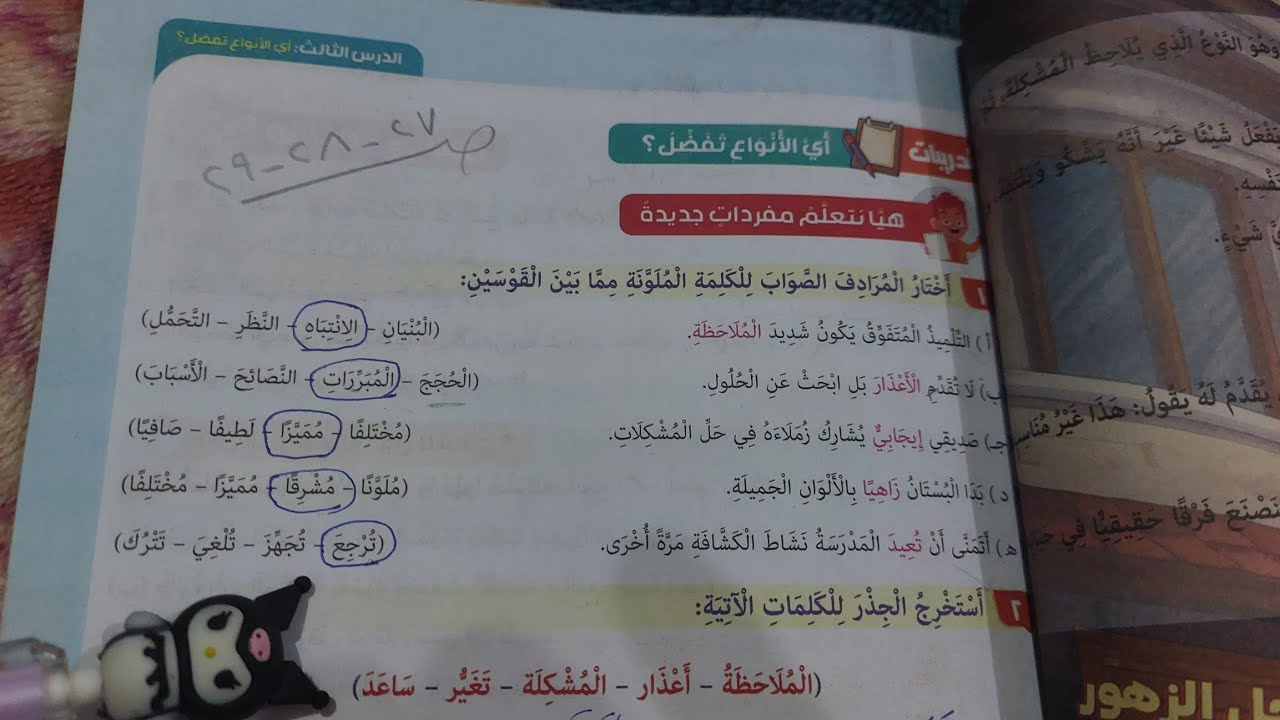 حل صفحة 27 و 28 و 29 كتاب المدرسة لغة عربية للصف الخامس الابتدائي تدريبات درس أي الأنواع تفضل 