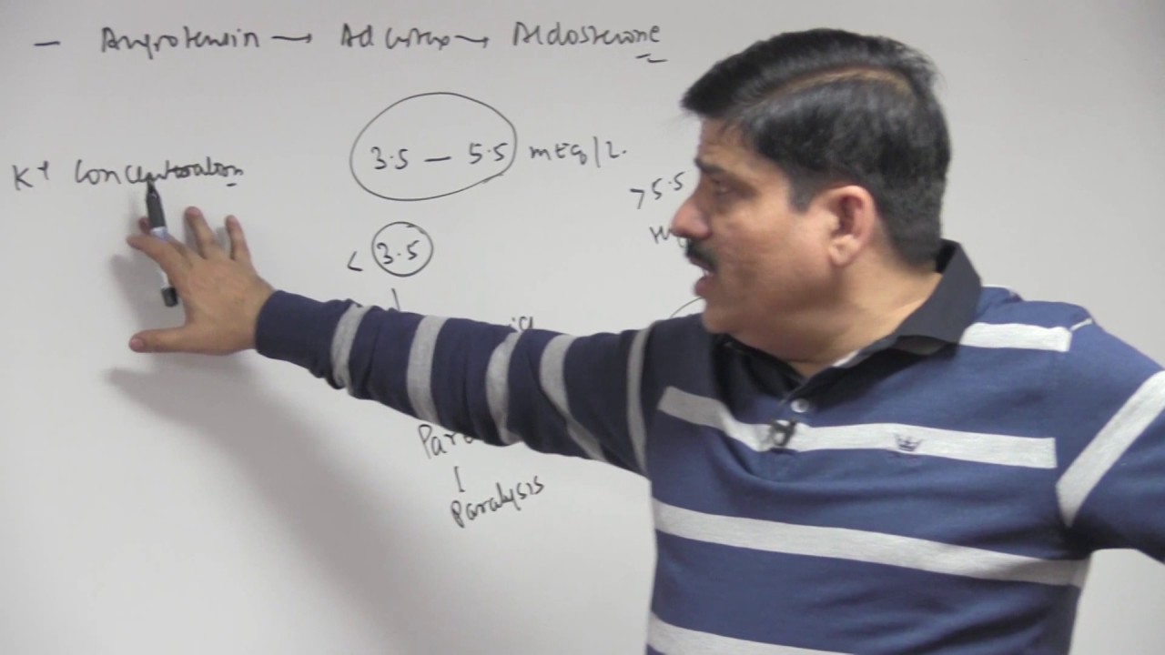 Adrenal Cortex: Aldosterone - Chemical Coordination & Integration - Dr. NK Sharma NEET