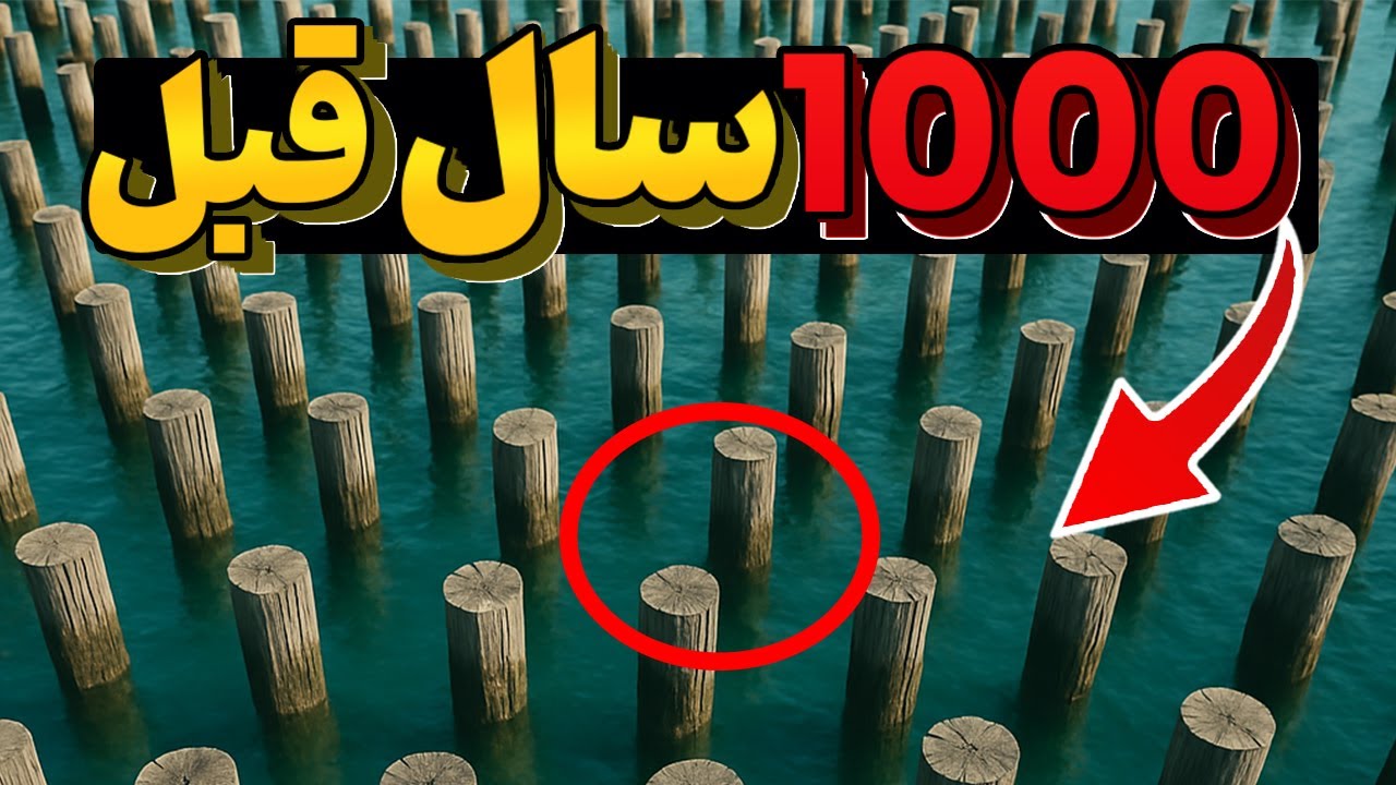 اونا هزار سال پیش ، میلیونها تنه ی درخت رو فرو کردن تو دریا... نتیجه دنیا رو شوکه کرد!