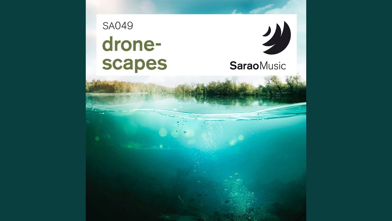 Subdrone