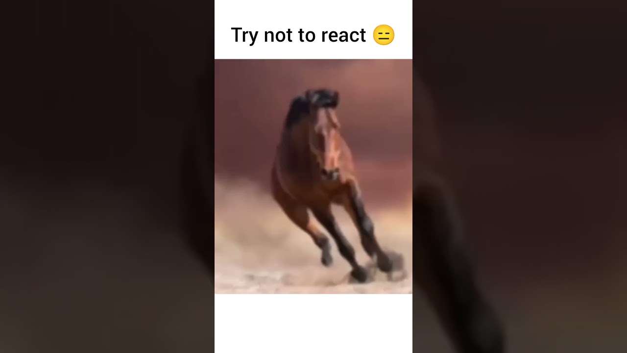 Try not to react 😑#7 