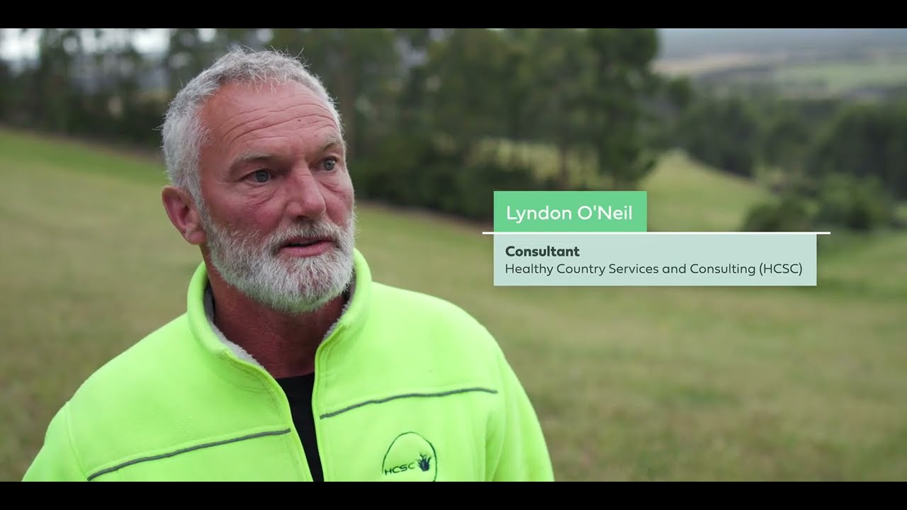 Traditional Land Management with Lyndon O'Neil