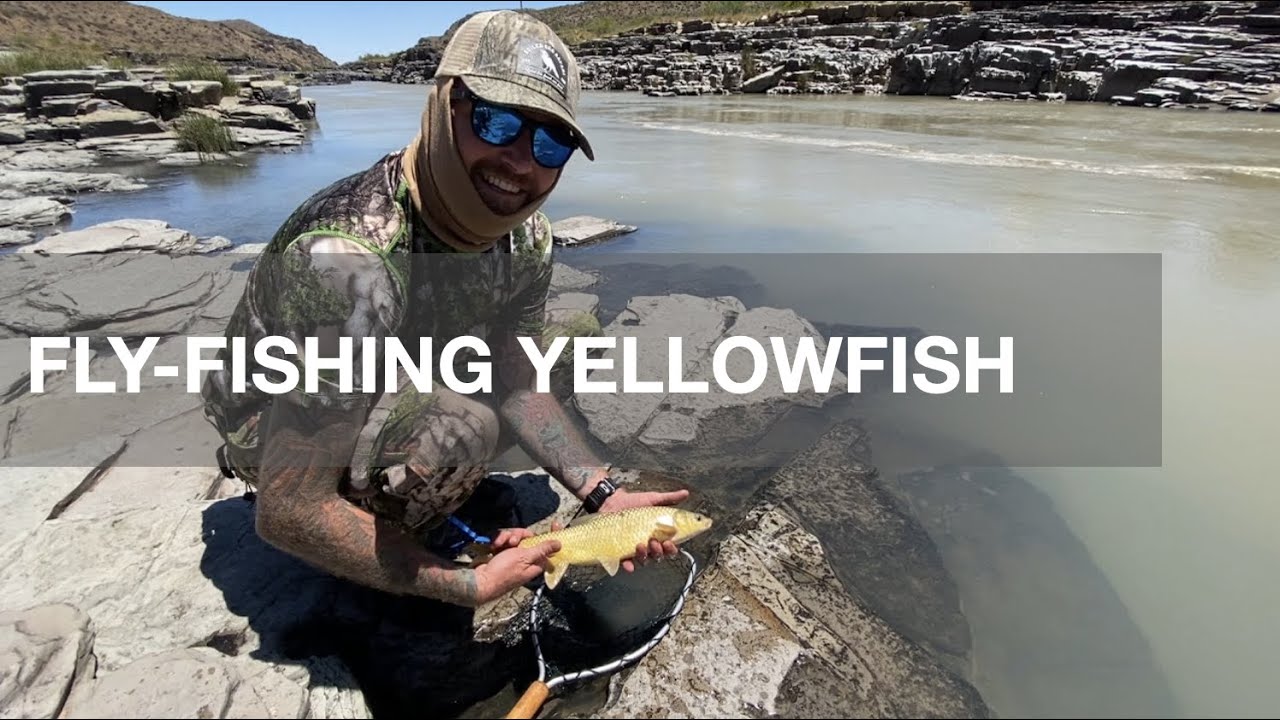 Fly fishing Yellowfish on the Orange River-Boiled Egg Safari Ep.011