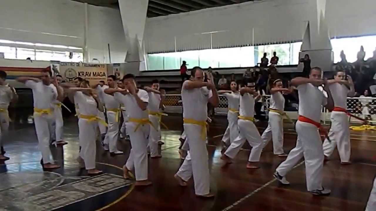 Cerimônia de entrega de faixa de Krav Maga em Goiás