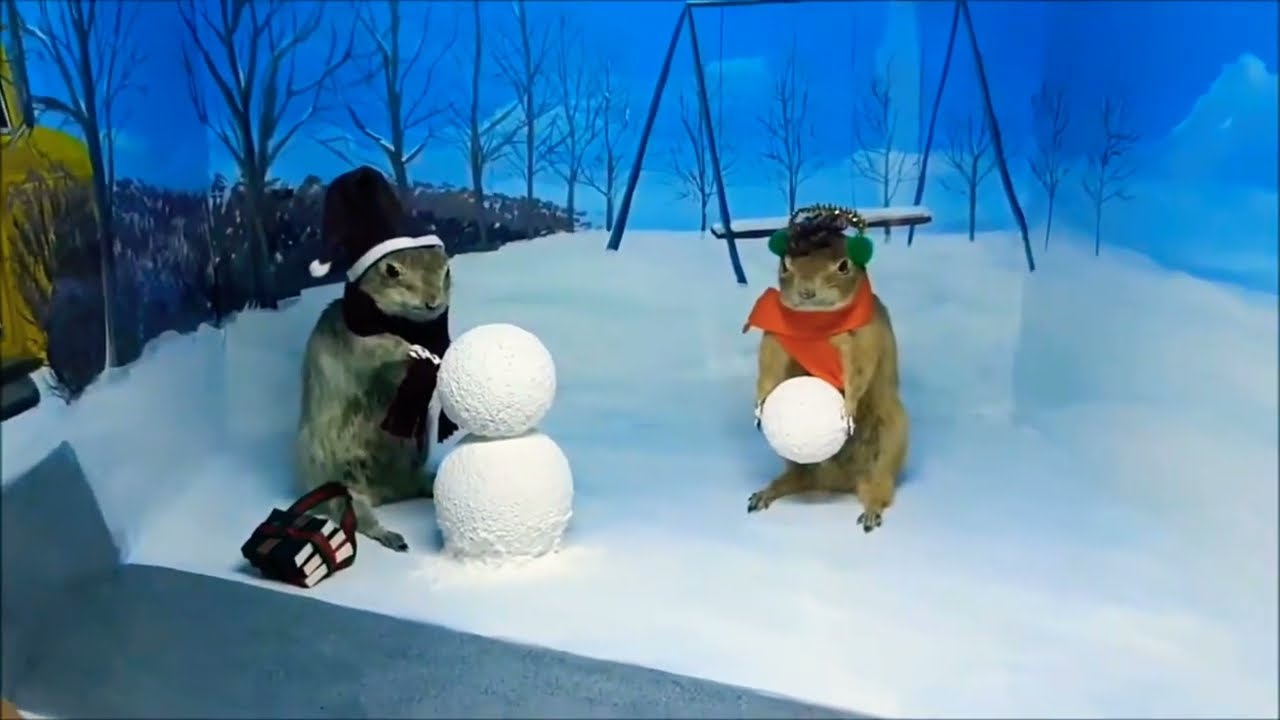 Exploring - World Famous Gopher Hole Museum, Torrington , Alberta